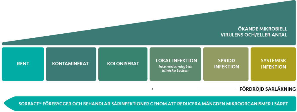 Illustration som visar hur sår kan gå från rent till systemiskt infekterat i sex steg: rent, kontaminerat, koloniserat, lokal infektion, spridd infektion och systemisk infektion. Samtidigt ökar den mikrobiella belastningen, vilket kan leda till fördröjd sårläkning. Bilden visar att Sorbact kan förebygga och behandla sårinfektioner genom att minska mängden mikroorganismer i såret.