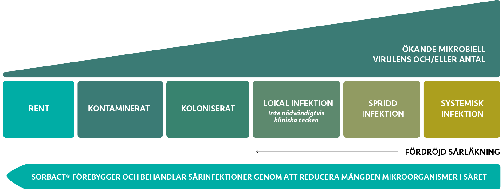 Illustration som visar hur sår kan gå från rent till systemiskt infekterat i sex steg: rent, kontaminerat, koloniserat, lokal infektion, spridd infektion och systemisk infektion. Samtidigt ökar den mikrobiella belastningen, vilket kan leda till fördröjd sårläkning. Bilden visar att Sorbact kan förebygga och behandla sårinfektioner genom att minska mängden mikroorganismer i såret.