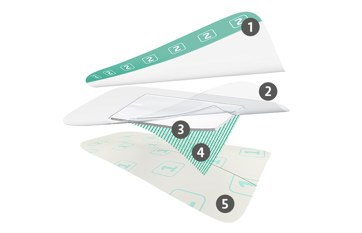 Sorbact Surgical Dressing-förband i fem lager: 1 stabiliserande film överst, 2 transparent film, 3 absorptionsdyna, 4 grönt Sorbact-sårkontaktlager, 5 skyddsfilm längst ned.